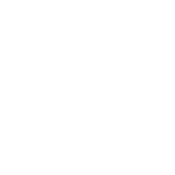 Data Analysis & Reporting Tools